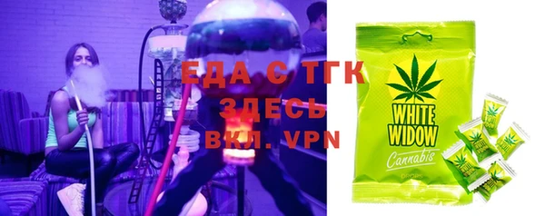 гидра Покачи